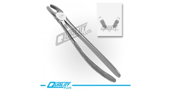 Fig: 18 Extraction Forceps English Pattern Serration