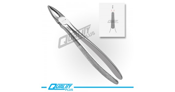 Fig: 29 Extraction Forceps English Pattern Serration