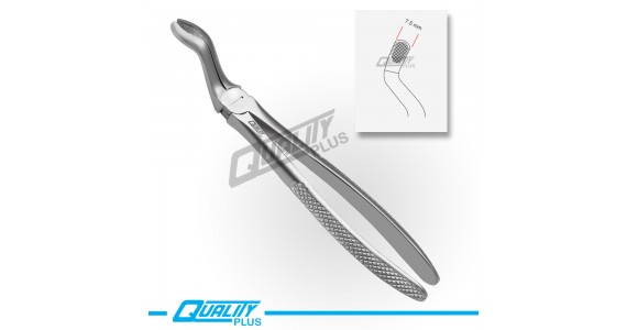 Fig: 67A Extraction Forceps English Pattern Serration