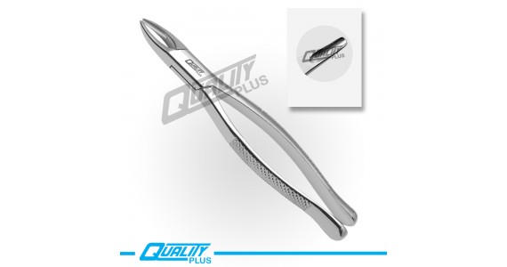 Fig: 1 Extraction Forceps American Pattern