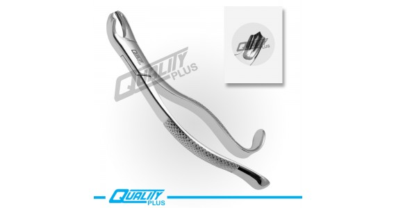 Fig: 15 Extraction Forceps American Pattern