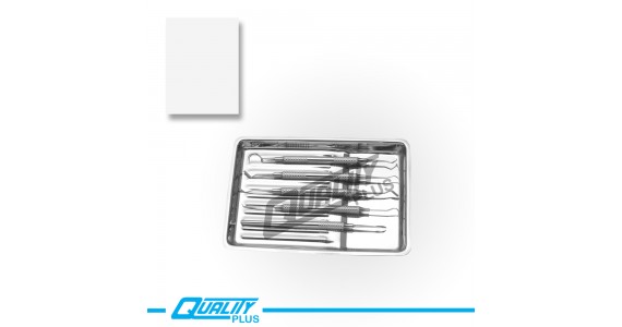 Scalars Tray Solid Size: 20X13.5X1.5cm 